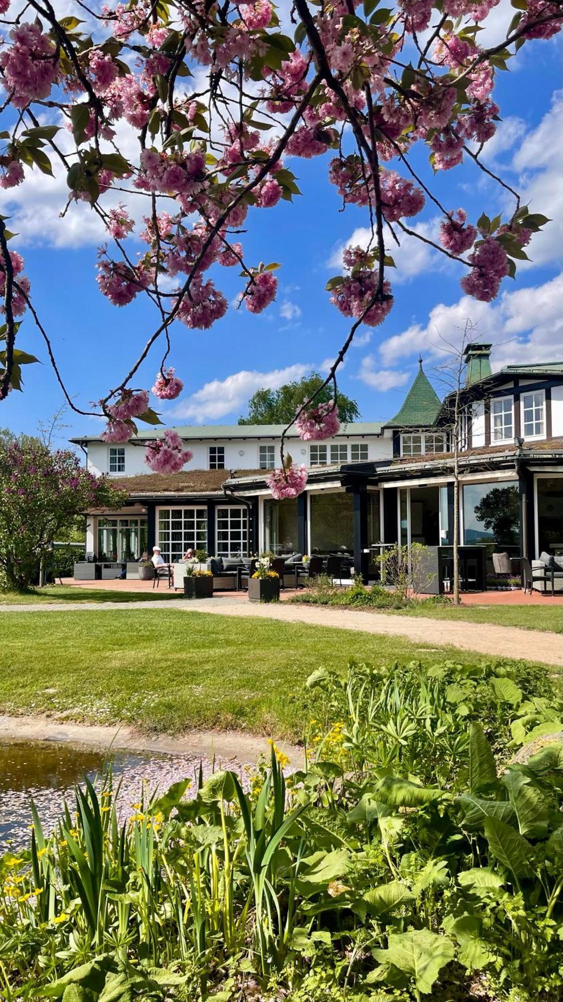 Hotel Deimann Schmallenberg Exteriör bild